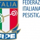 fipe, federpesistica